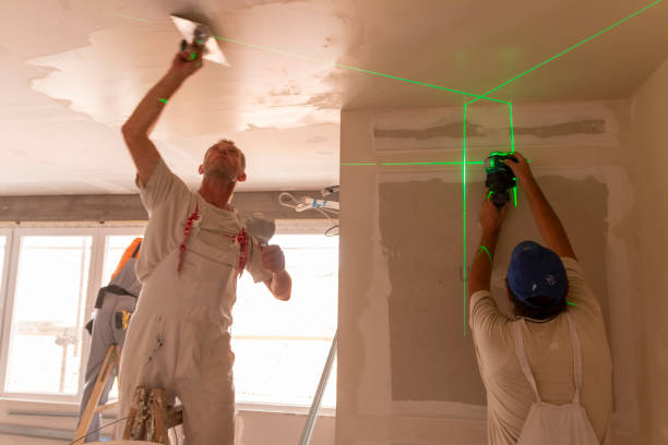 Best Ceiling Drywall Installation  in Selah, WA